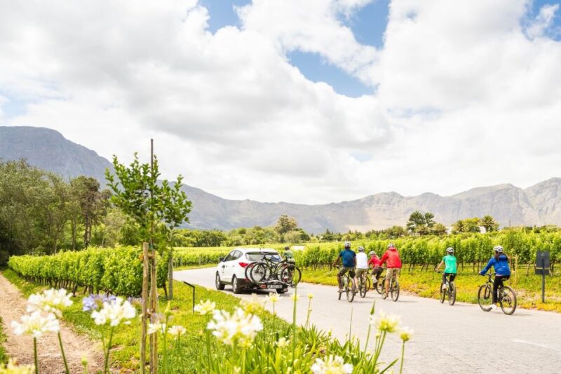From Cape Town: Winelands Cycling Tour - Franschhoek Highlights