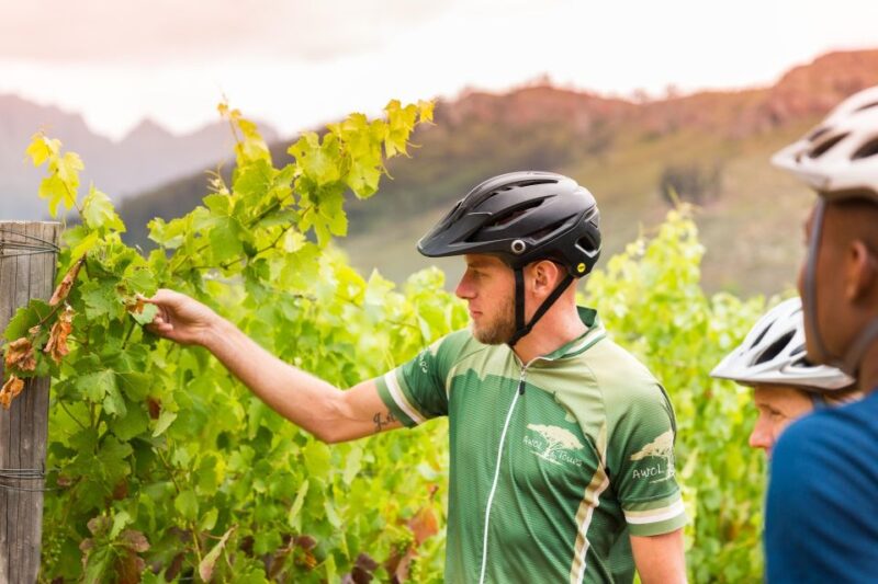From Cape Town: Winelands Cycling Tour - Paarl Attractions