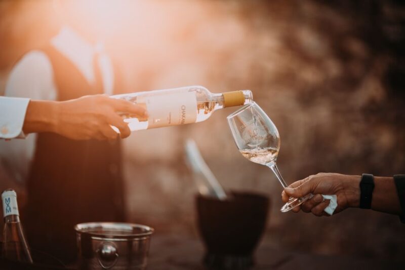 From Cape Town: Winelands Full Day Tour and Wine Tasting - Visit Wine Cellars