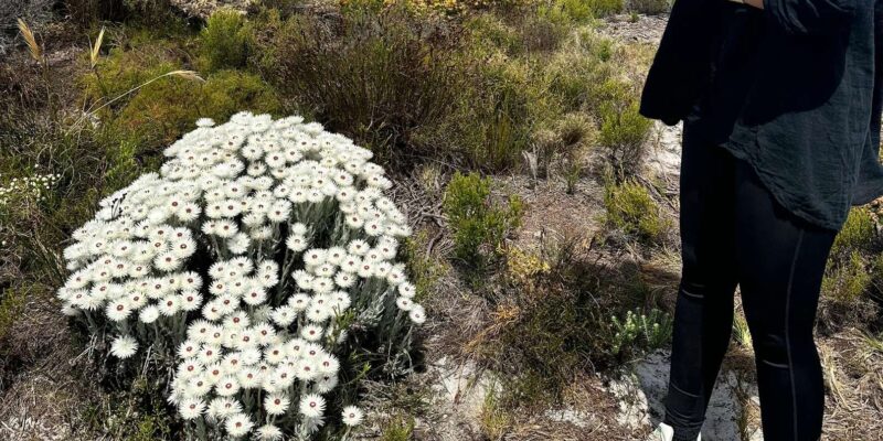 From Cape Town:Private Tour to Boulders Beach and Cape Point - Important Reminders