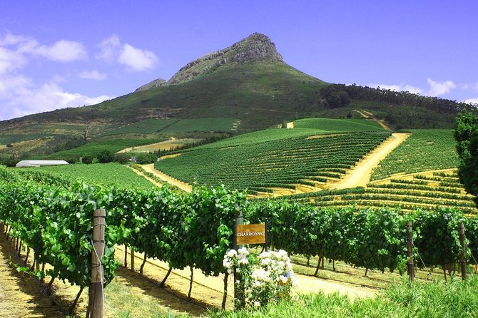 From CapeTown: Stellenbosch Half Day Wine Tour - Transport and Accommodations