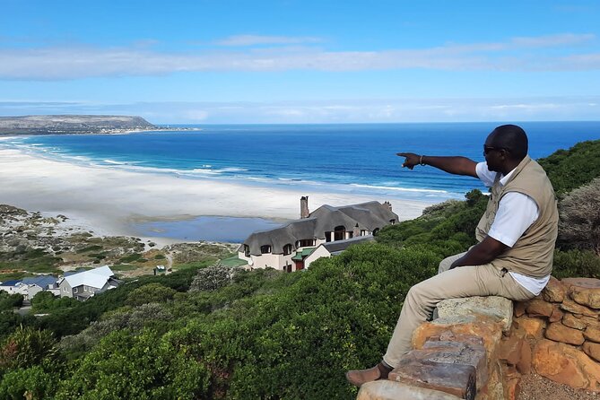 From CapeTown:To Chapmans Peak, Penguins Half -Day Tour - Booking Details