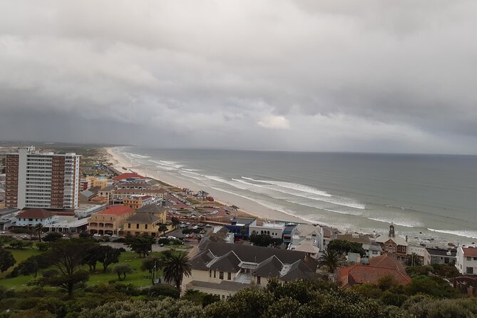 From CapeTown:To Chapmans Peak, Penguins Half -Day Tour - Exploring Chapmans Peak