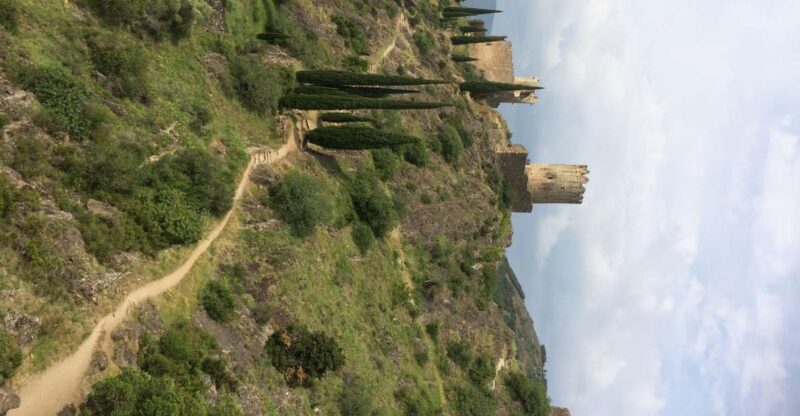 From Carcassonne:Lastours Castles & Carcassonne Guided Tour - Key Points