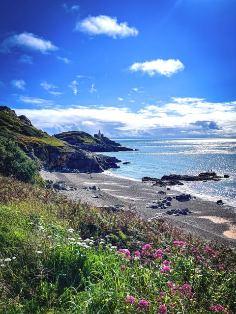 From Cardiff: Beautiful Golden Gower Full-Day Private Tour - Good To Know