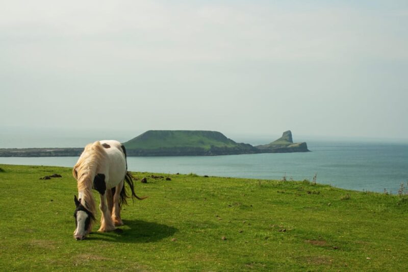 From Cardiff: Beautiful Golden Gower Full-Day Private Tour - Itinerary Highlights
