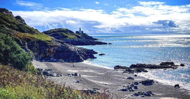 From Cardiff: Beautiful Golden Gower Full-Day Private Tour - Customer Feedback