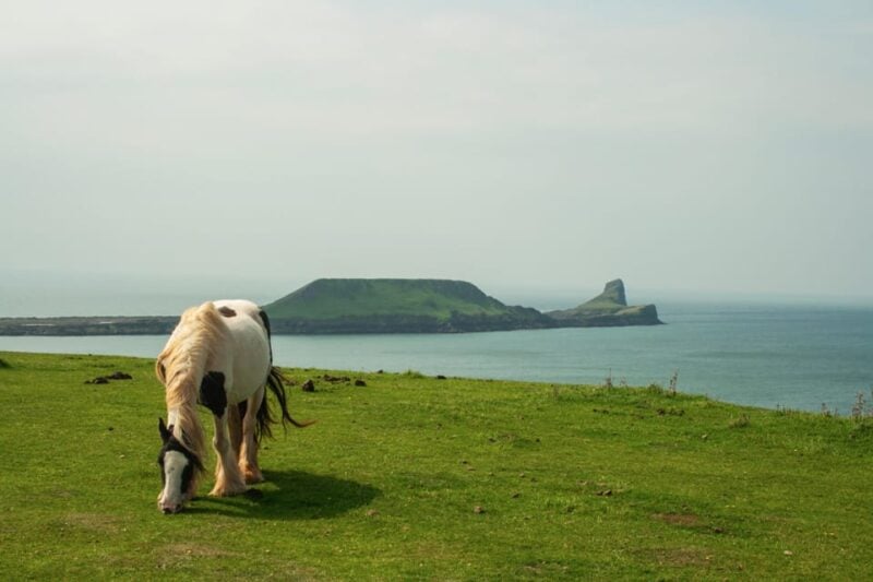 From Cardiff: Beautiful Golden Gower Full-Day Private Tour - Visiting Cefn Bryn