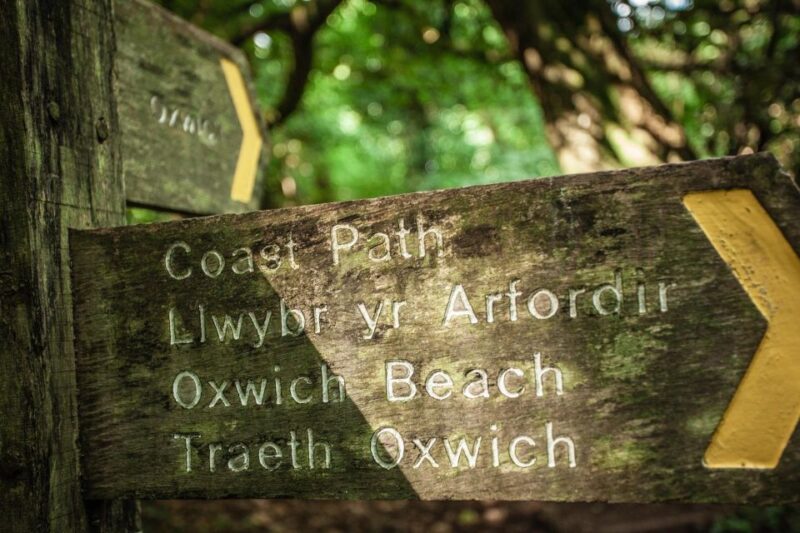 From Cardiff: Mumbles, Three Cliffs, Worms Head Gower Tour - Highlights