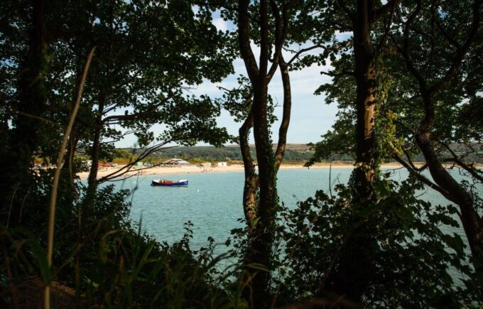 From Cardiff: Mumbles, Three Cliffs, Worms Head Gower Tour - Duration and Availability