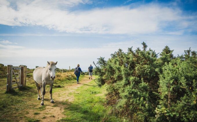 From Cardiff: Mumbles, Three Cliffs, Worms Head Gower Tour - Frequently Asked Questions