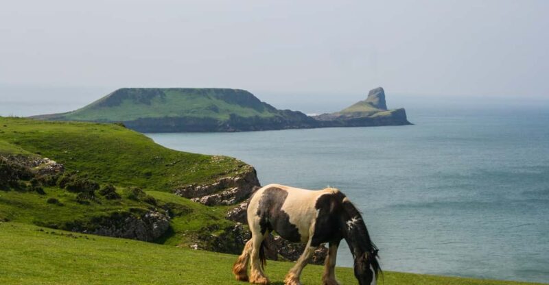 From Cardiff: Swansea, Mumbles and Gower Coast Full-Day Tour - Good To Know