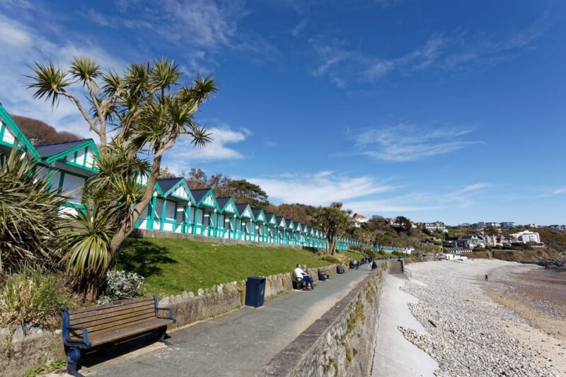 From Cardiff: Swansea, Mumbles and Gower Coast Full-Day Tour - Transportation and Group Size