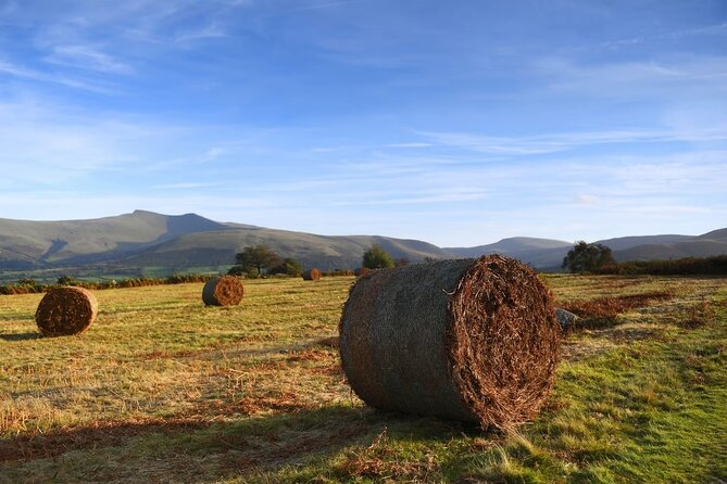 From Cardiff: The Valleys Heritage And Beacons Landscapes - Key Points
