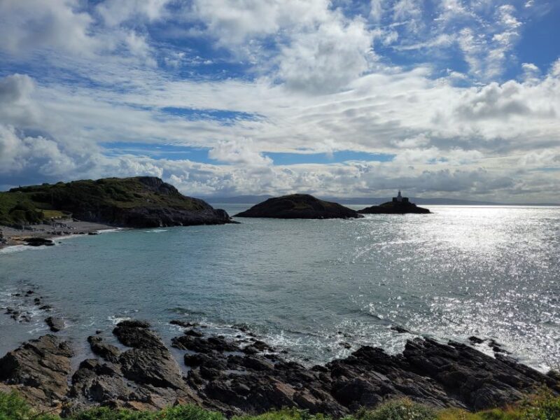 From Cardiff: The Wandering Bards Swansea Bay Day Tour - Key Points