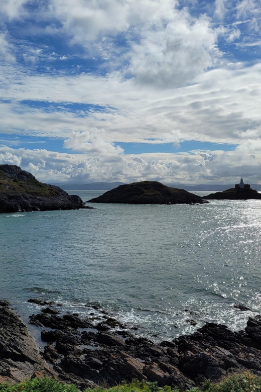 From Cardiff: The Wandering Bards Swansea Bay Day Tour - Highlights of the Day