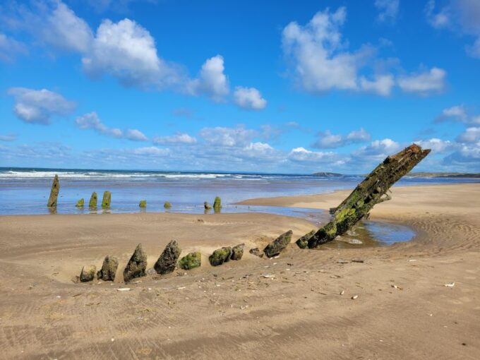 From Cardiff: The Wandering Bards Swansea Bay Day Tour - Recap