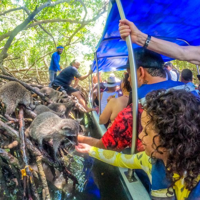 From Cartagena: Baru and Playa Blanca Full-Day Mangrove Tour - Mangrove Exploration