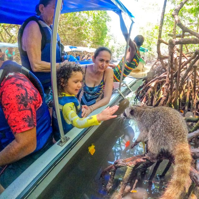 From Cartagena: Baru and Playa Blanca Full-Day Mangrove Tour - Transportation and Pickup Options