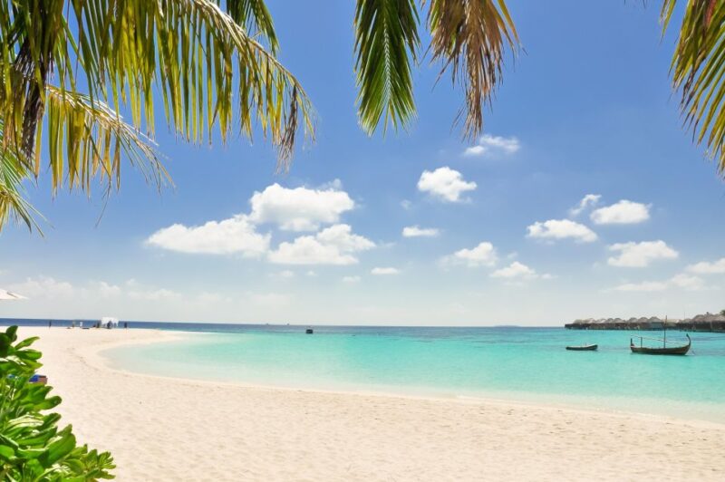 From Cartagena: Baru Island Quiet Beach Day Trip With Lunch - Relaxation and Rejuvenation