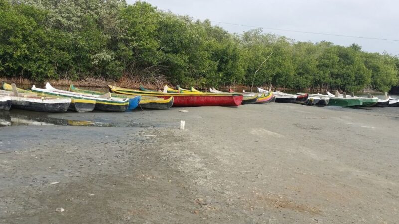 From Cartagena: Mangroves Trip With Lunch - Customer Reviews and Ratings