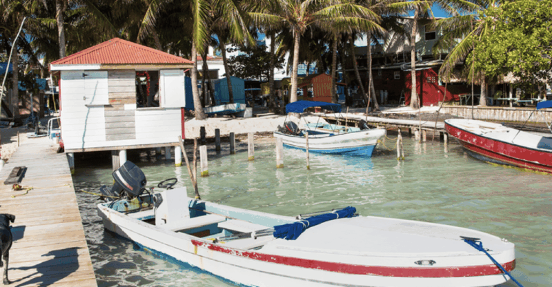 From Cartagena: One Way Shared Transfer to Isla Grande - Key Points