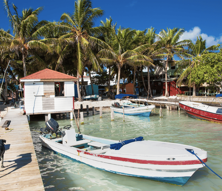 From Cartagena: One Way Shared Transfer to Isla Grande - Experience Highlights