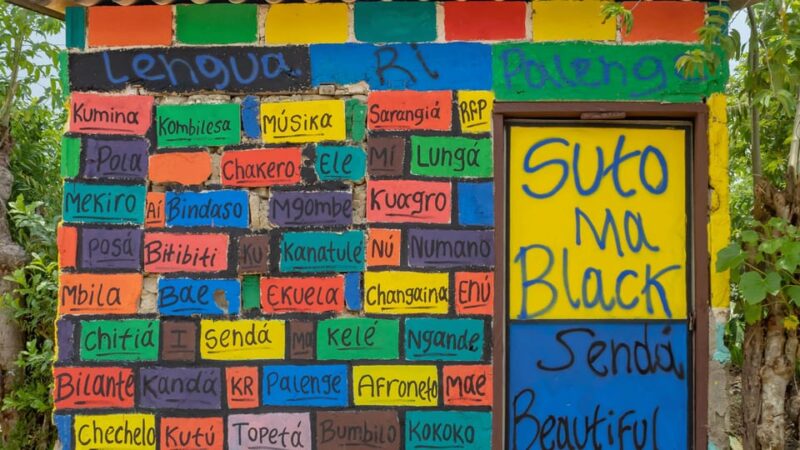 From Cartagena: Palenque Tour African Roots With Local Guide - Important Information