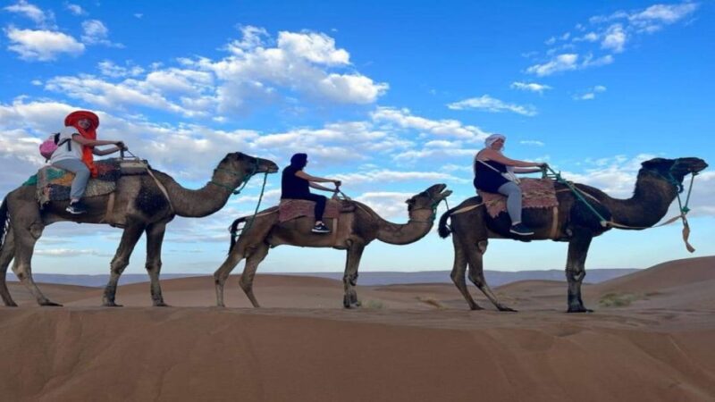 From Casablanca : 10 Day Highlights Morocco Tour via Desert - Fes Old Medina Tour
