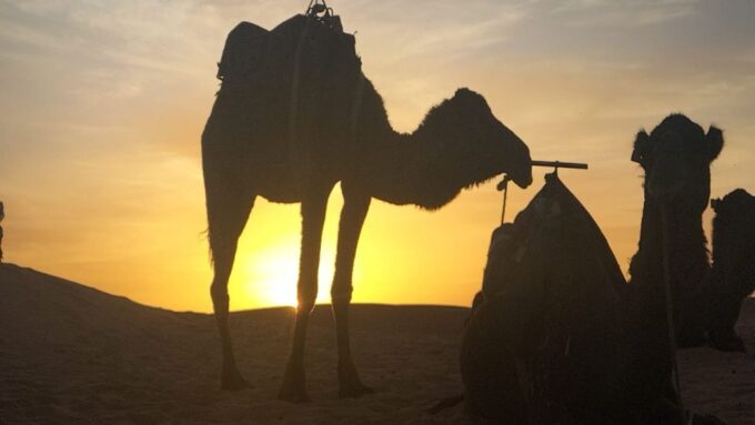 From Casablanca : 10 Day Highlights Morocco Tour via Desert - Marrakech Highlights