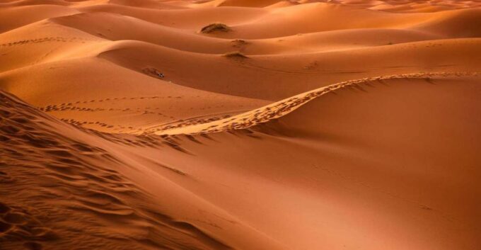 From Casablanca: 11-day Grand Morocco Tour - Inclusions and Exclusions