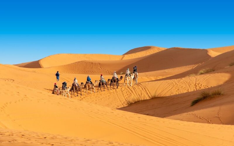 From Casablanca: 6 Day - Private Tour to Fes& Sahara Desert - Included Services