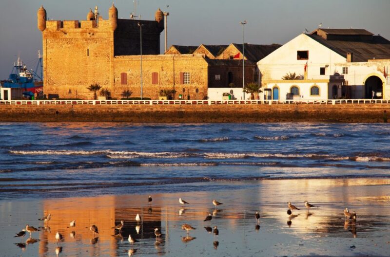 From Casablanca: Day Trip to Essaouira - Booking and Availability