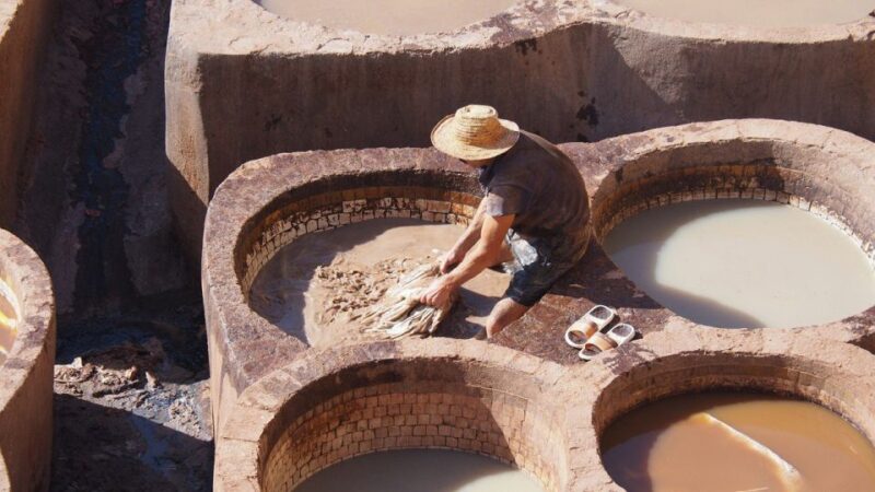 From Casablanca: Fez Private Guided Tour With Lunch - Key Points