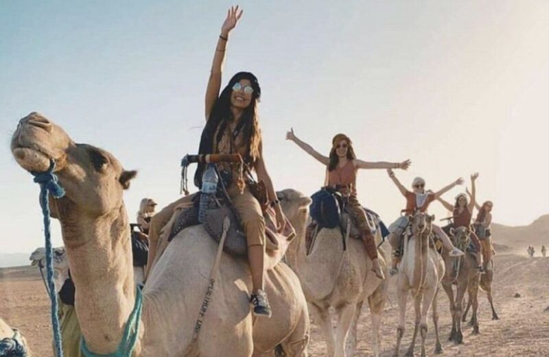 From Casablanca: Marrakech City Tour With Lunch & Camel Ride - Experience Highlights