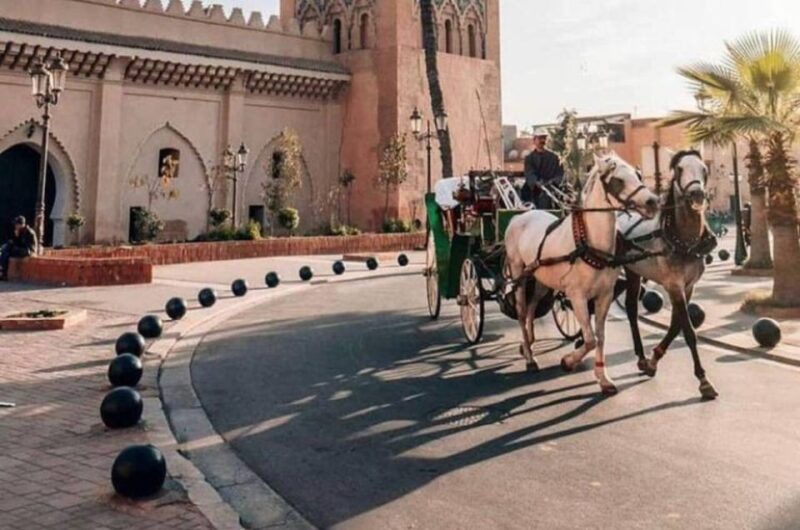 From Casablanca: Marrakech City Tour With Lunch & Camel Ride - Inclusions