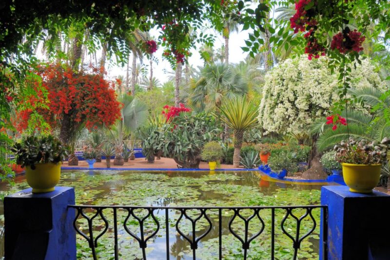 From Casablanca: Marrakech Guided Day Trip With Camel Ride - Camel Ride Experience