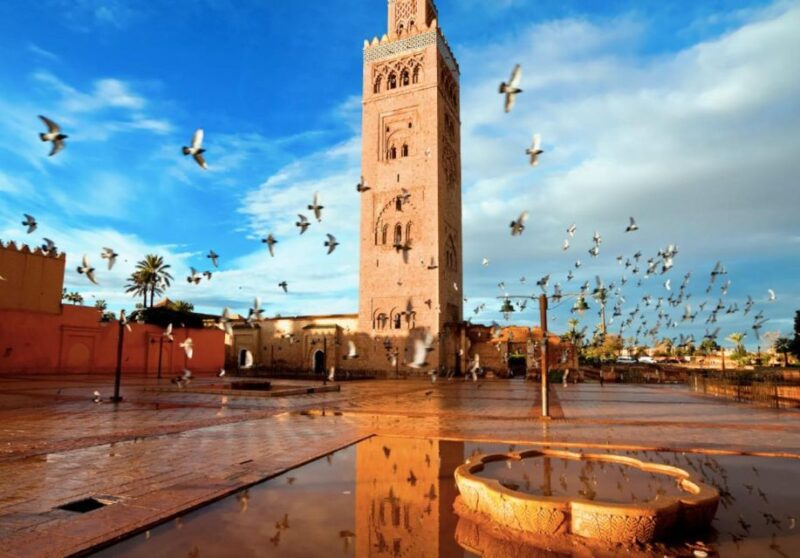 From Casablanca: Private 12 Days Trip To Desert & Marrakech - Fes Medina Tour