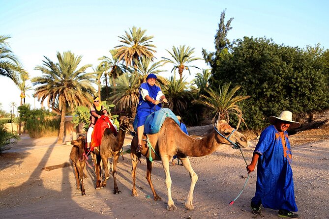 From Casablanca to Marrakech: A Day of History and Culture. - Accessibility