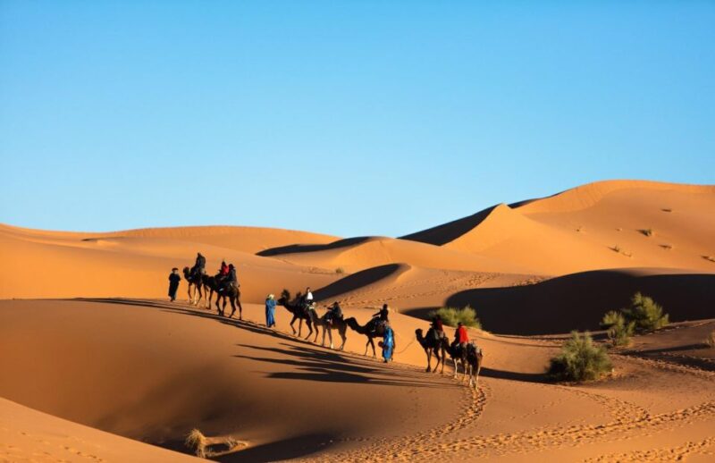 From Casablanca:9Days Unforgettable Desert Tour To Marrakesh - Scenic Exploration