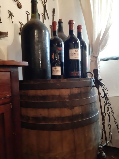 From Castellabate: Food Tour in Cilento National Park - Pricing and Languages