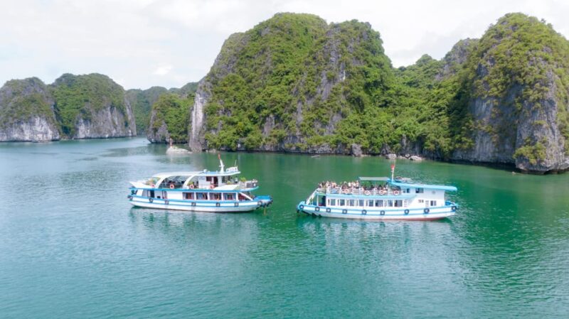 From Cat Ba: Amazing Sunset Boat Tour in Lan Ha Bay - Customer Experience and Reviews