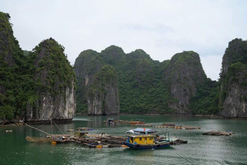 From Cat Ba: Cat Ba Full Day Kayaking With Fishing Village - Kayaking in Lan Ha Bay