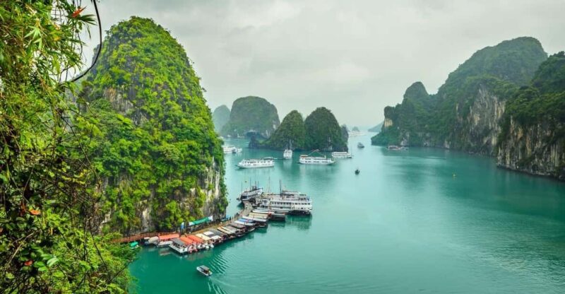 From Cat Ba: Explore Cat Ba Islands With A Luxury Cruise - Lunch Experiences