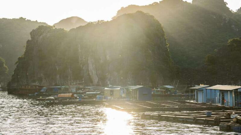 From Cat Ba: Full-Day Tour Explore the Stunning Lan Ha Bay - Important Information