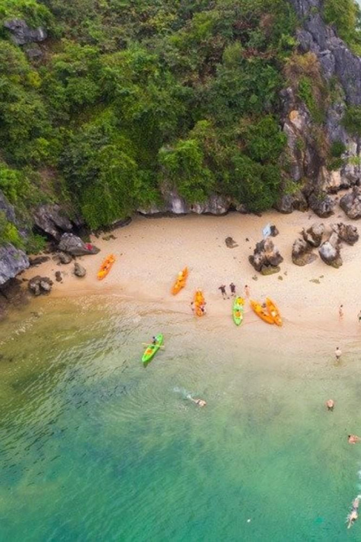 From Cat Ba Island: Full Day Boat Tour Lan Ha & Halong Bay - Key Points