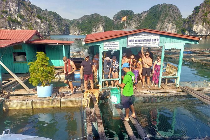 From Cat Ba Island: Full Day Boat Tour to Lan Ha Bay - Ha Long Bay - Pickup and Meeting Point
