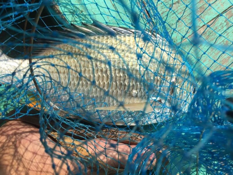 From Cat Ba Island: Private Full Day Fishing Tour Lan Ha Bay - Preparation and Recommendations