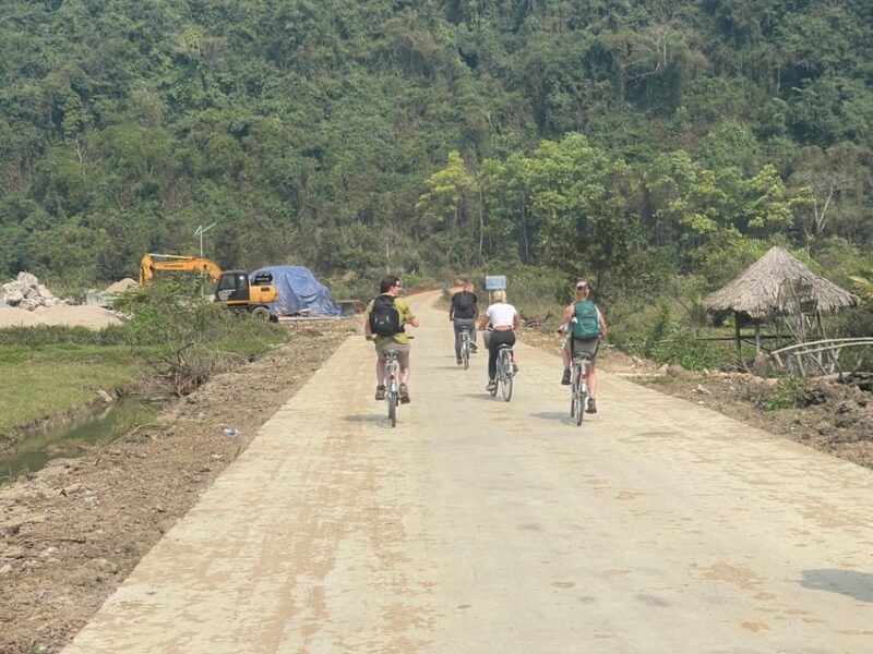 From Cat Ba Island:National Park Full Day Trekking& Kayaking - Itinerary