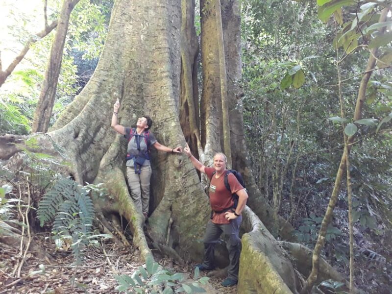 From Cat Ba Island:National Park Full Day Trekking& Kayaking - Important Information